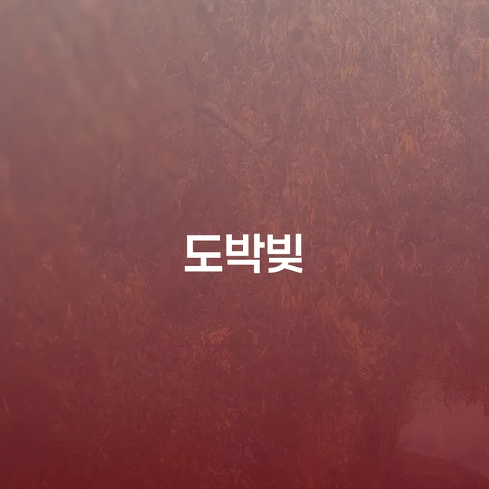 개인회생법무사변호사 채무 효과적인 해결방법 급증하는