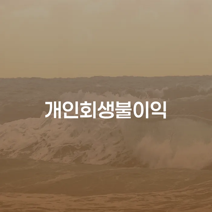 개인파산제도 대출 연체 개인회생 해결 할 수 있을까?