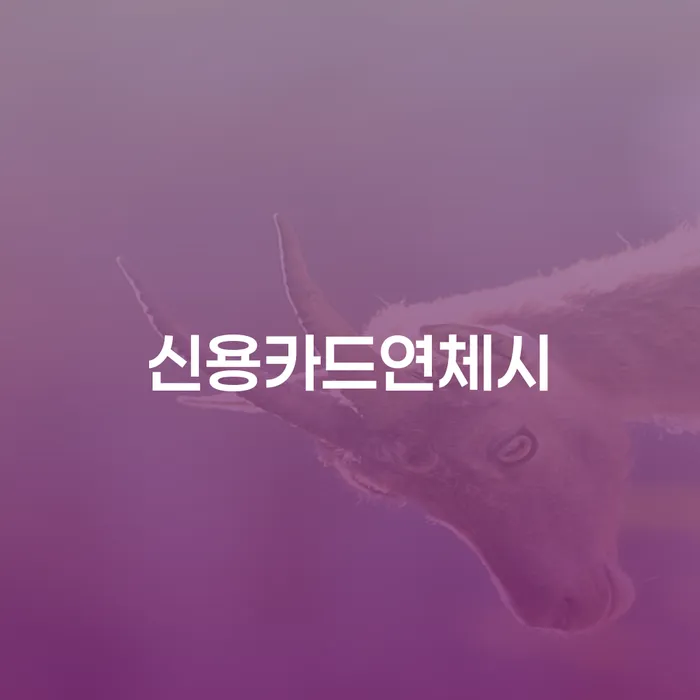 채무불이행 대출 연체 개인회생 상담받아보기