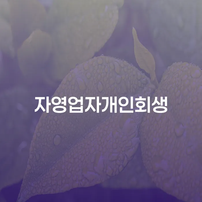 저축은행대출 연체 시 개인회생,개인파산으로 지식을