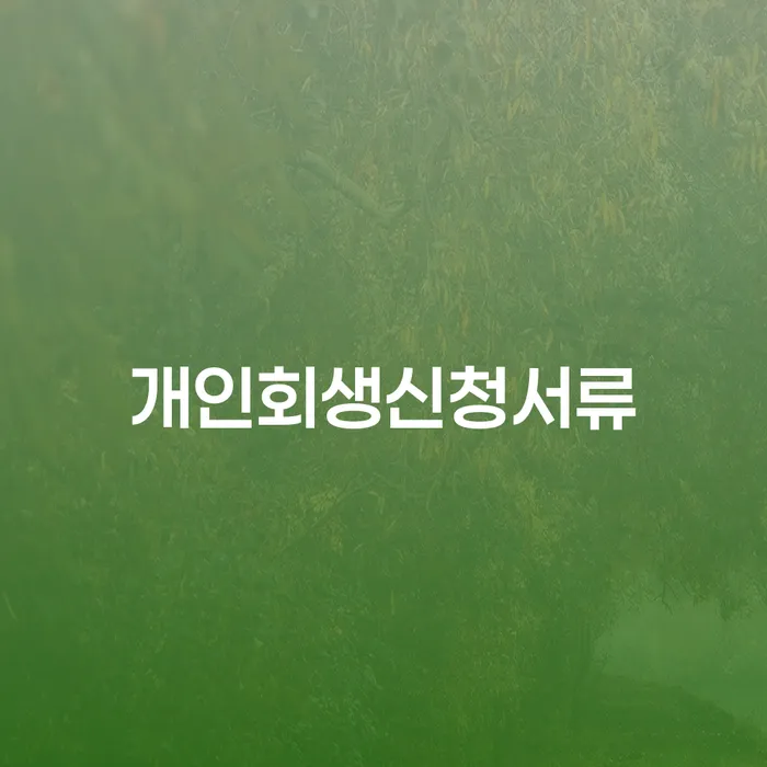 부산회생변호사 대출 연체 개인회생 믿고 진행 할 수 있는