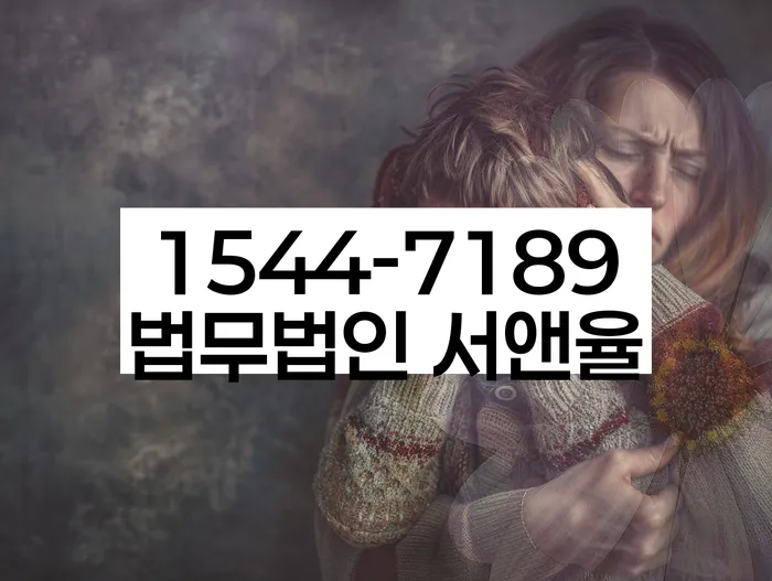 채무자대리인제도