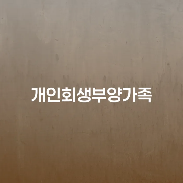 홍성군 개인회생파산 채무조정제도을 이용하여 결정나고
