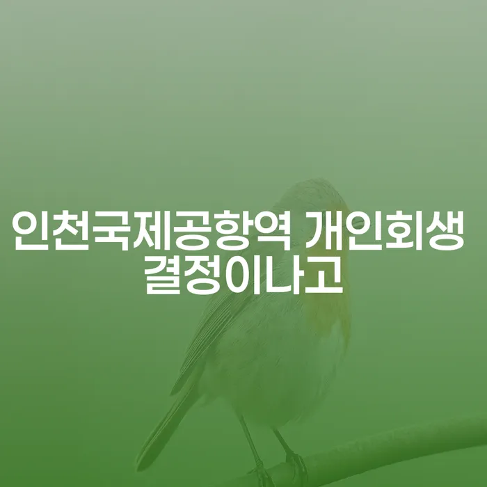 인천국제공항역 개인회생 결정이나고