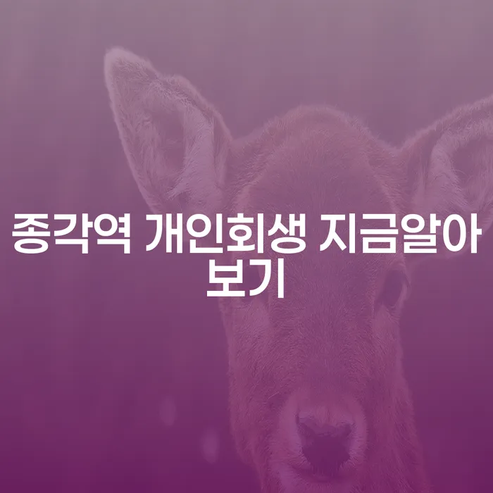 종각역 개인회생 지금알아보기
