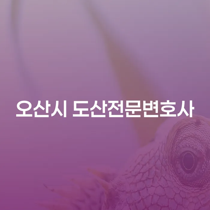 오산시 도산전문변호사, 개인회생과 파산의 길을 찾다